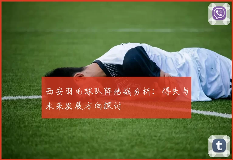 西安羽毛球队阵地战分析：得失与未来发展方向探讨